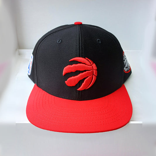 Gorra Toronto Raptors